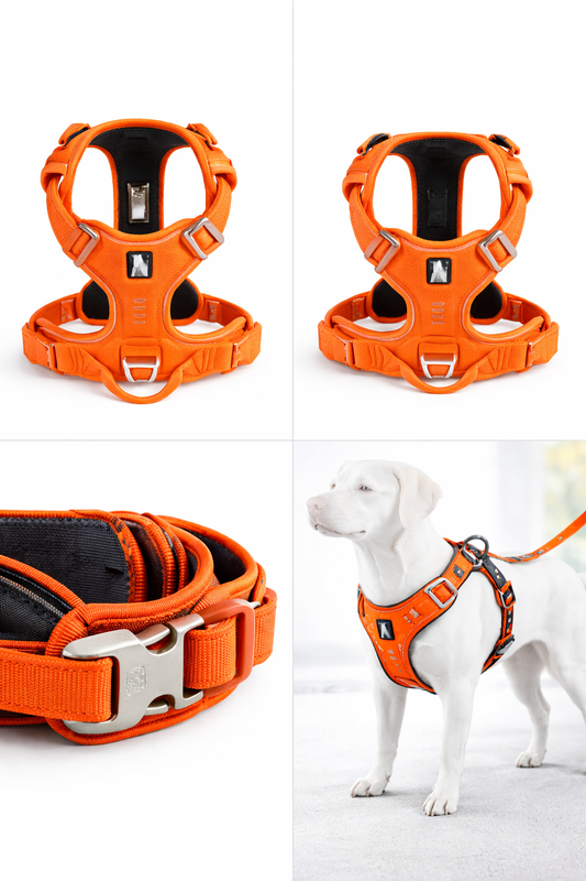 Harnais pour Chien Antitraction Ajustable – Nylon Résistant & Rembourré Confort, Réfléchissant Sécurité